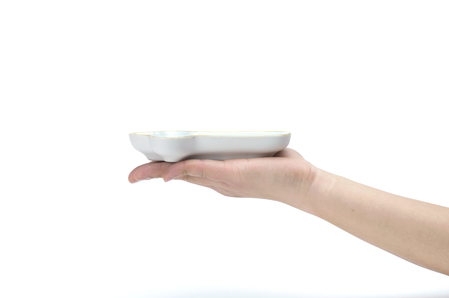FORMA 向付 鼻型／funny plate NOSE
